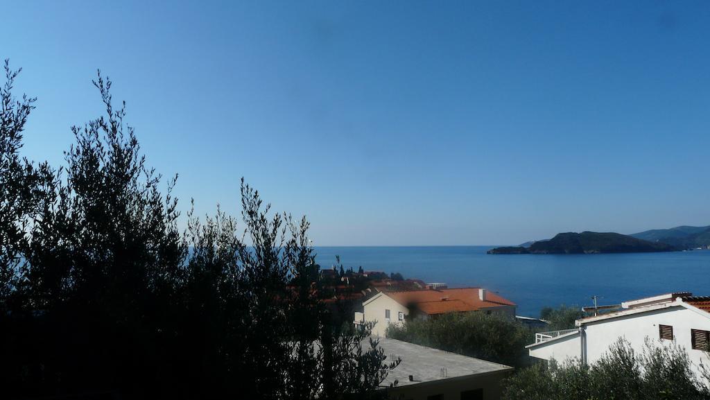 Guest House Zivkovic Sveti Stefan Εξωτερικό φωτογραφία