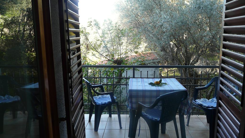 Guest House Zivkovic Sveti Stefan Δωμάτιο φωτογραφία